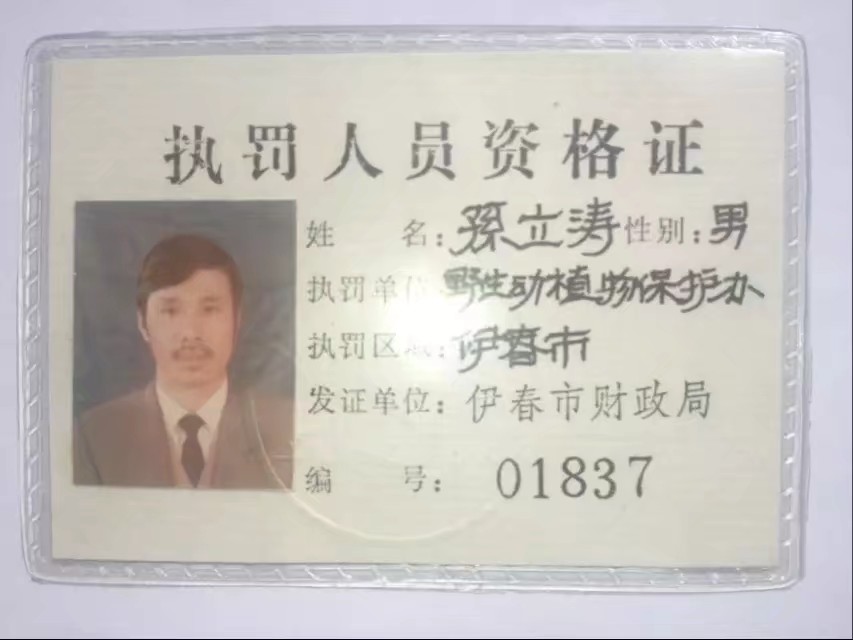 伊春林区往事,伊春林区往事1982年