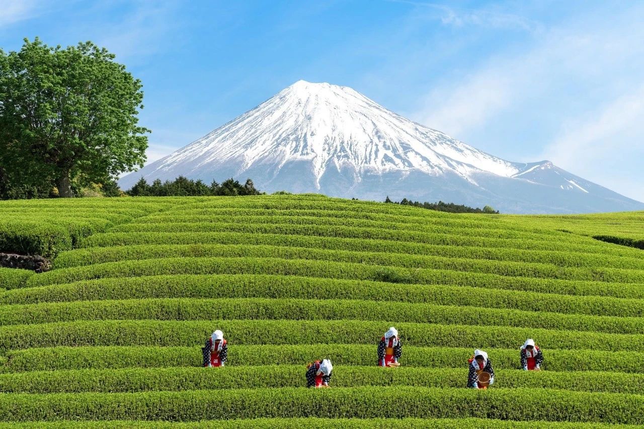 东京蝉联三届全球最安全城市,东京全球前三