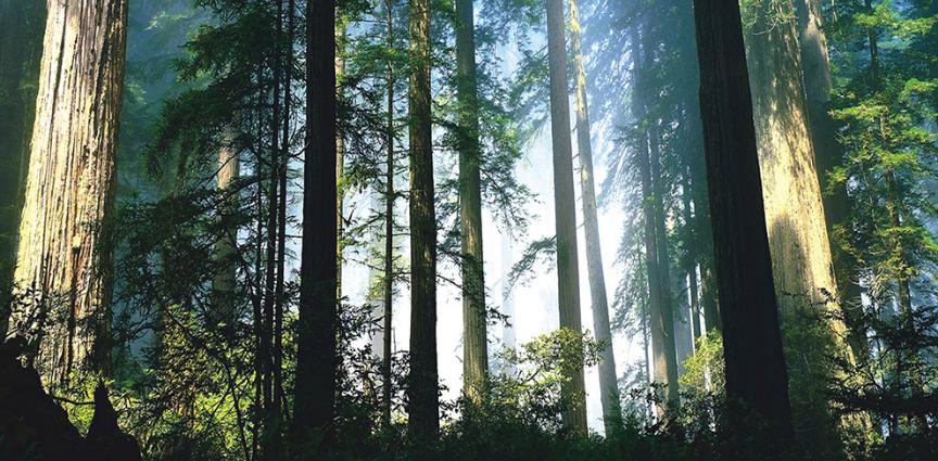 南阳有山有水有景区,南阳市区内有哪些风景旅游区