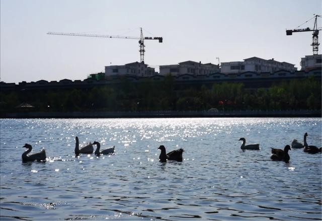 手拍世界微信公众号,手拍世界283期