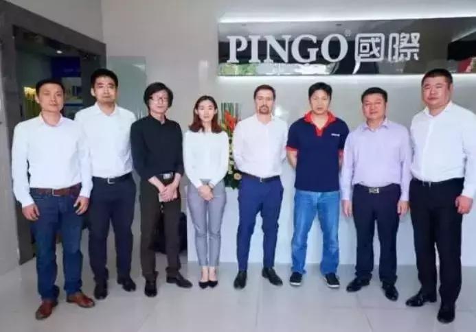“PINGO国际”悲歌