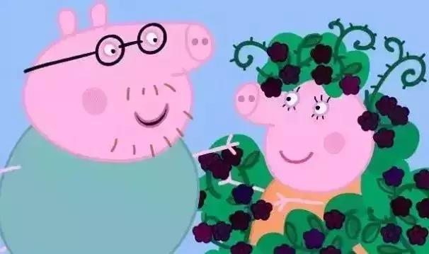 小猪佩奇家庭规则怪谈一口气看完,小猪佩奇浅析