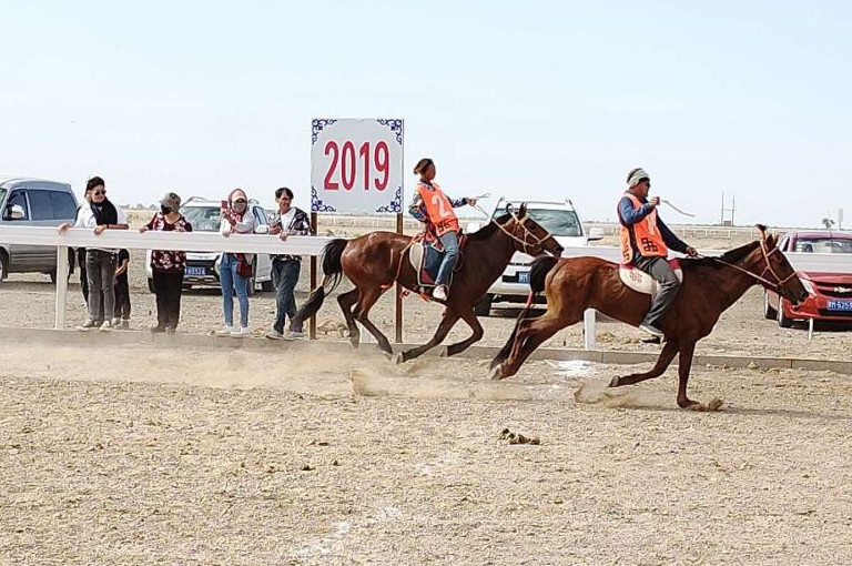内蒙古马术节完整版,第六届内蒙古国际马术节开赛