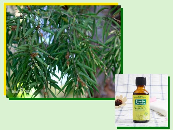 手持挤痘痘神器,挤痘神器单头