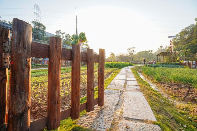 深圳民国风打卡景点,深圳安静的旅游小镇