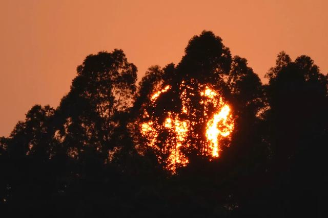 反者道之动:正话反说与正话反听