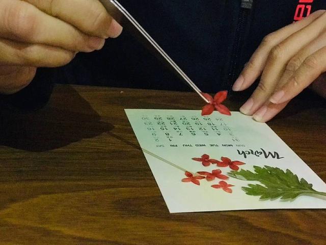 园艺治疗师一年网络课程