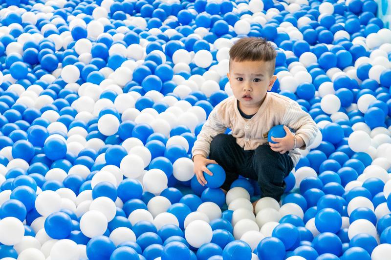 你知道广州有个百万葵园吗?四季都繁花似锦,景色让人流连忘返