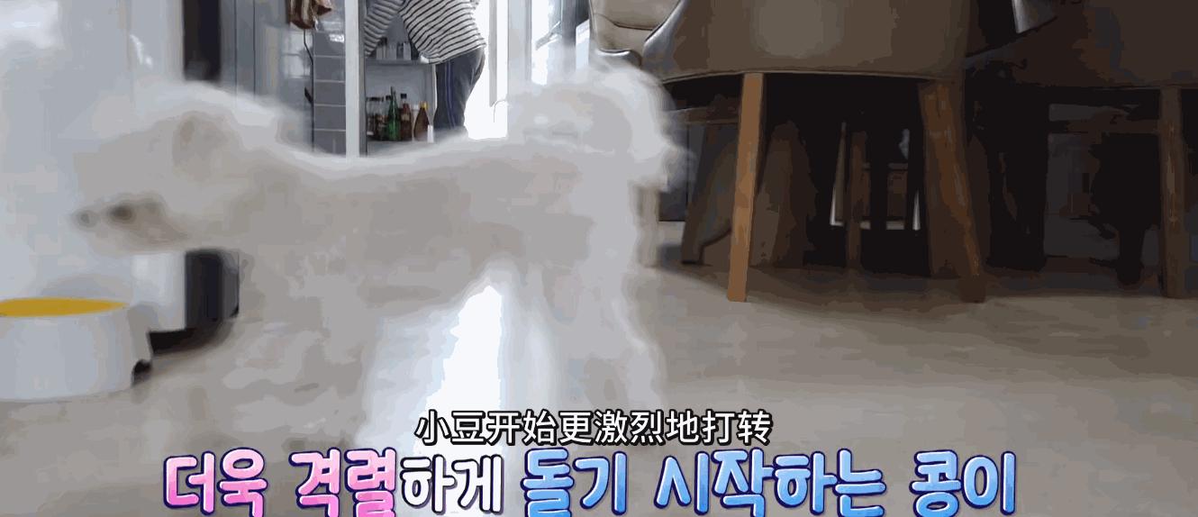 狗狗一直转圈圈还用爪子刨被子,狗狗每天都趴又拉又吐