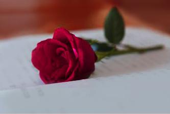 不是谁都会喜欢对你好,不是每次爱都需要表白吗