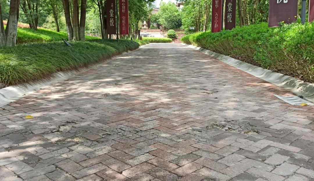 被56万压垮，重庆力帆帝国即将破产？昔日超级豪宅沦为鬼楼？