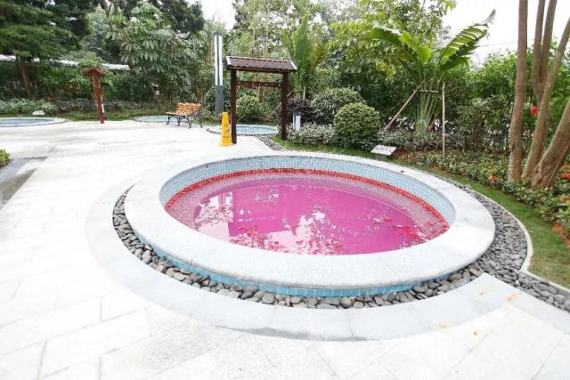 从化财富温泉度假酒店拍照,从化温泉财富酒店