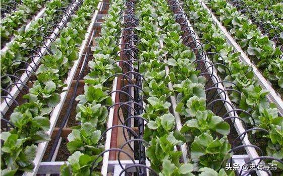 小国家大能量，从屡被*攻围**到无人敢惹，面积还暴增一倍