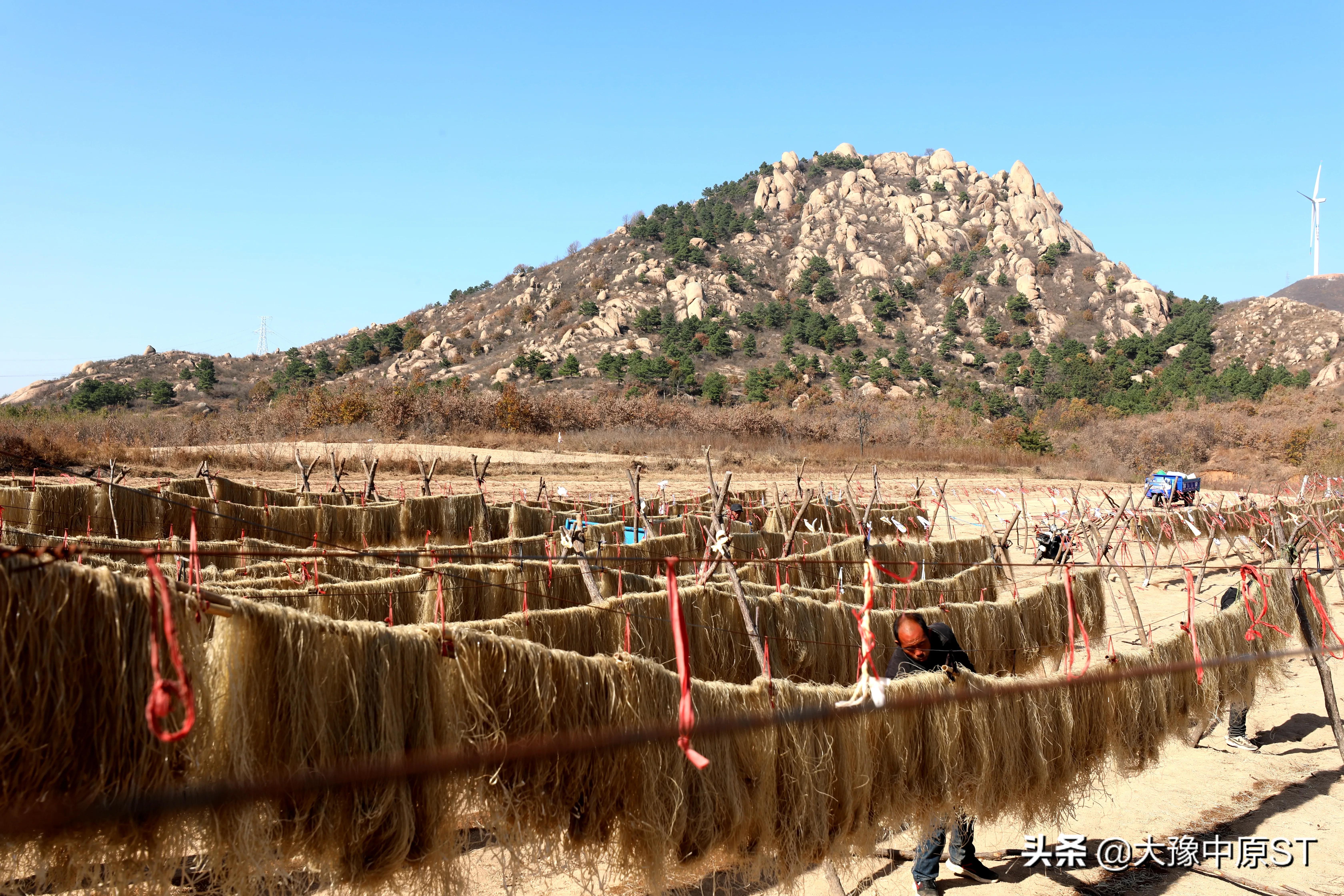 粉条变身脱贫致富金,红薯粉产业拓出致富路