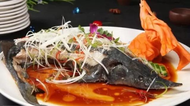 长江白鲟世界最大淡水鱼,中华鲟娃娃鱼