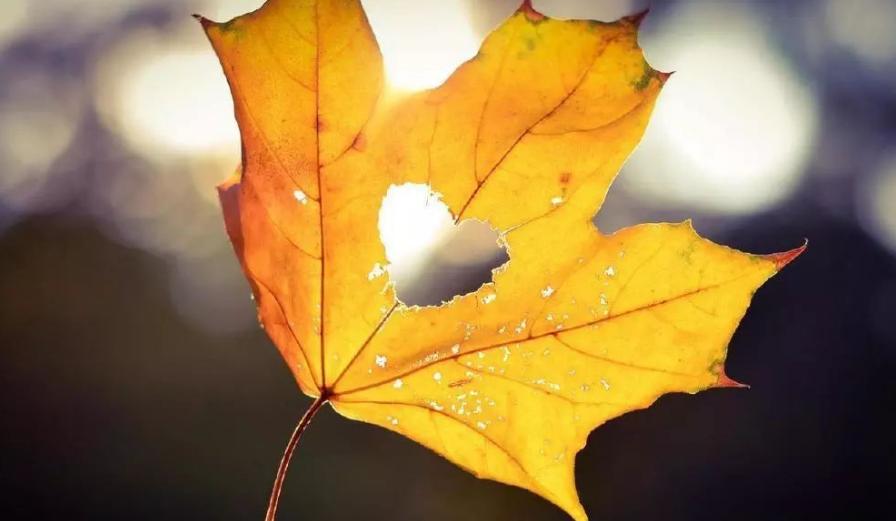 总是被小人欺负该怎么应对,遇到欺负你的小人该怎么办