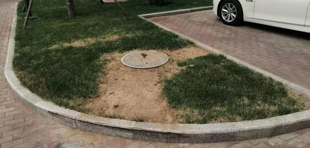 武清景瑞花园为什么便宜,武清莱茵翠景一开始卖多少钱