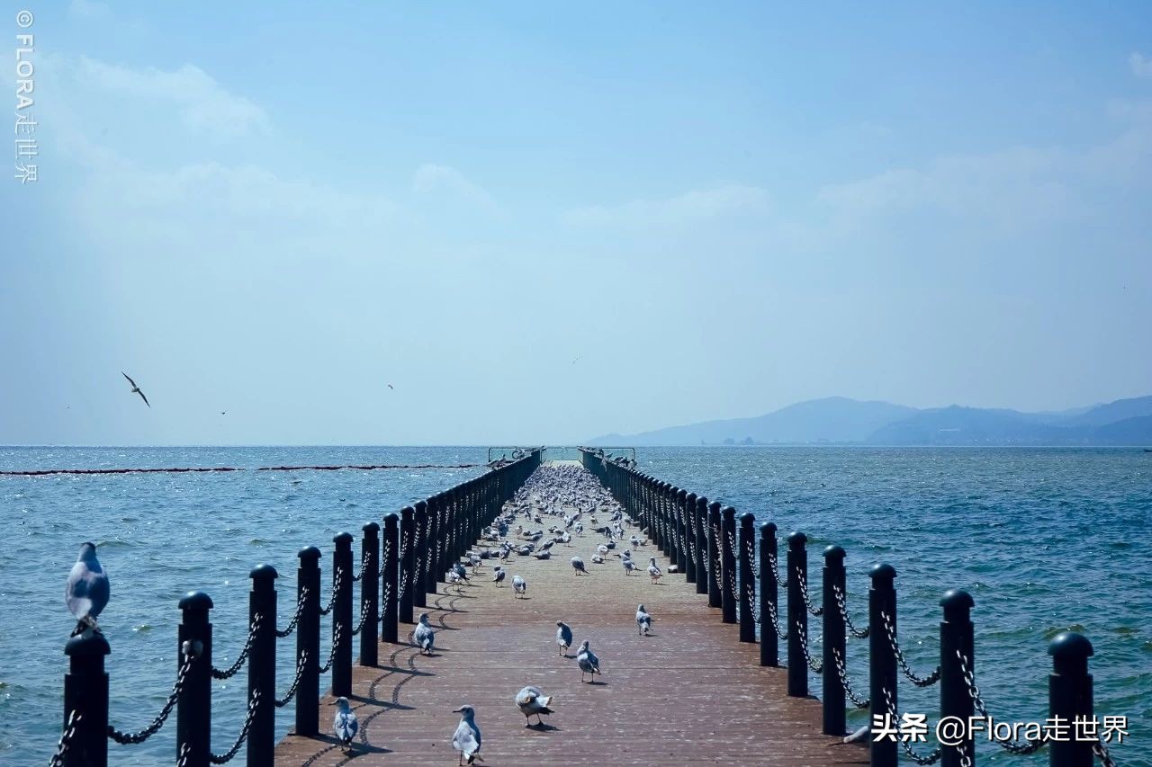 建水罗平元阳自由行攻略,云南元阳县旅游攻略路线