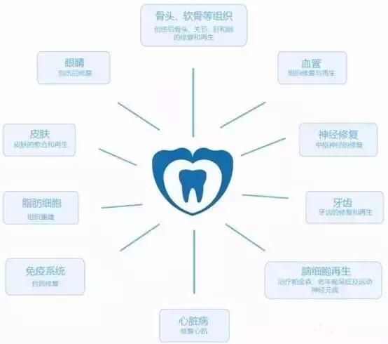 小朋友牙齿受到外伤如何正确处理,牙齿意外脱落如何处理