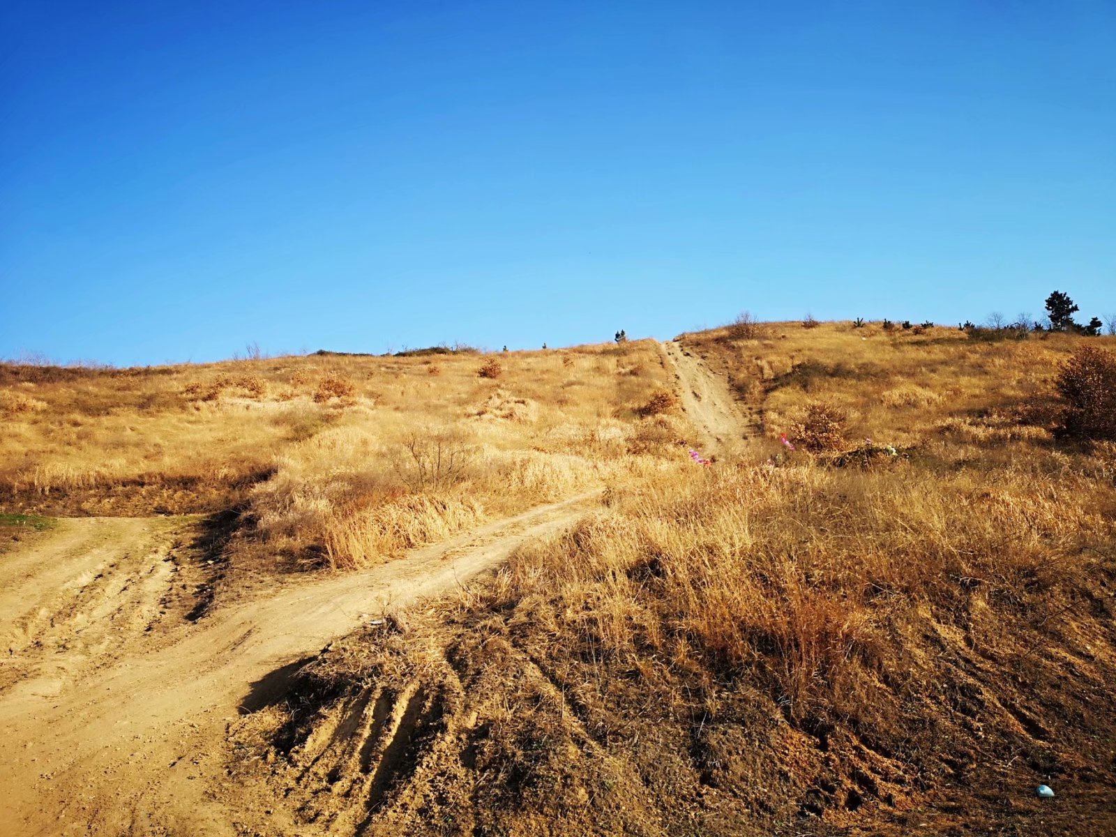 摩托周边旮旯游——探访蚌埠李楼鲁山寺遗址（上）
