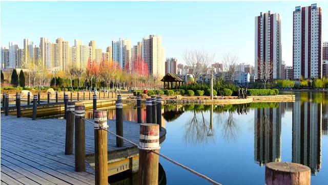 津南区打架,津南区打架视频