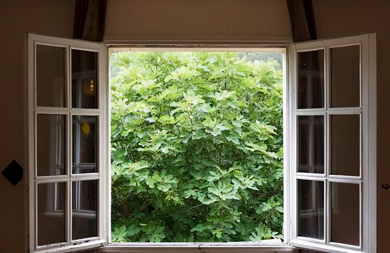 手臂起小疙瘩是荨麻疹,腿上起丘疹性荨麻疹水肿