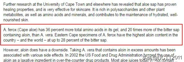 开普芦荟长多高,开普芦荟盆栽
