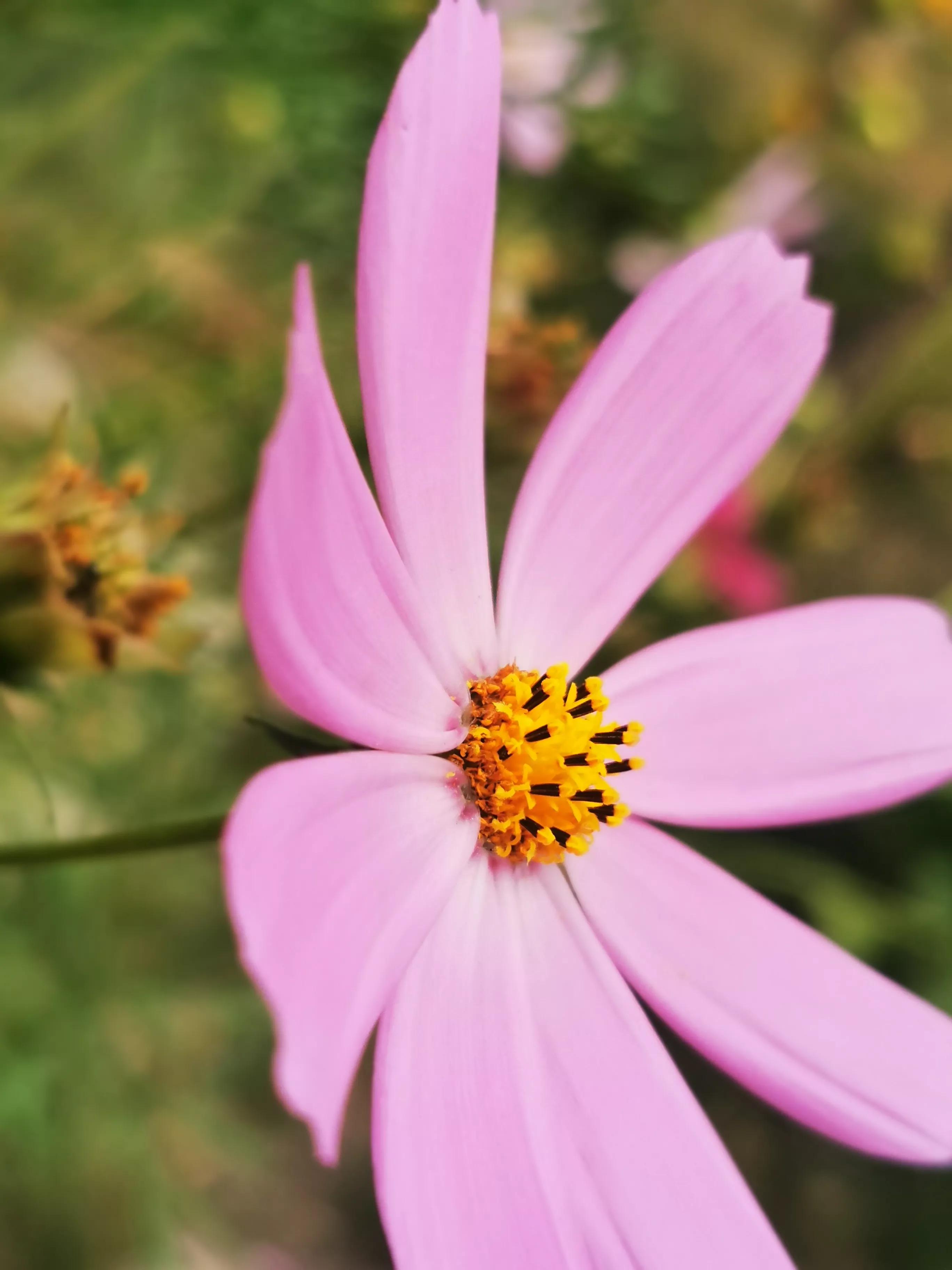 自强自立自尊自爱自信自律顺序,如何成为一个自信自爱的人