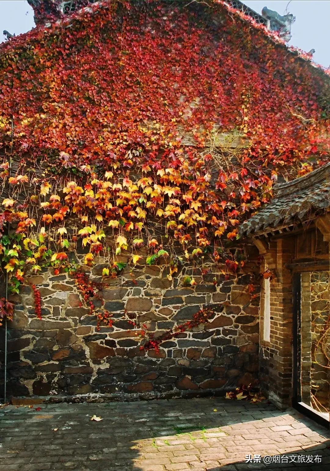 蓬莱美味,冬天蓬莱好吃的