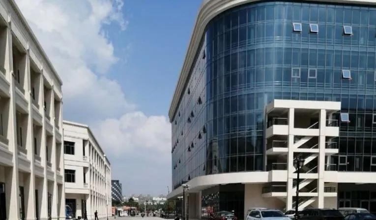 张浦最新消息,张浦要腾飞了