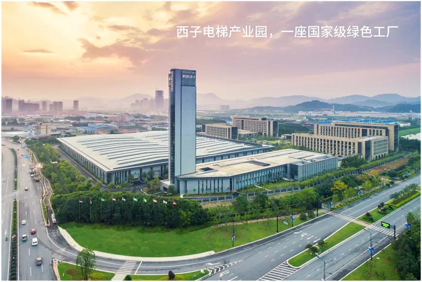 特别策划微视频完整版,特别策划完整视频