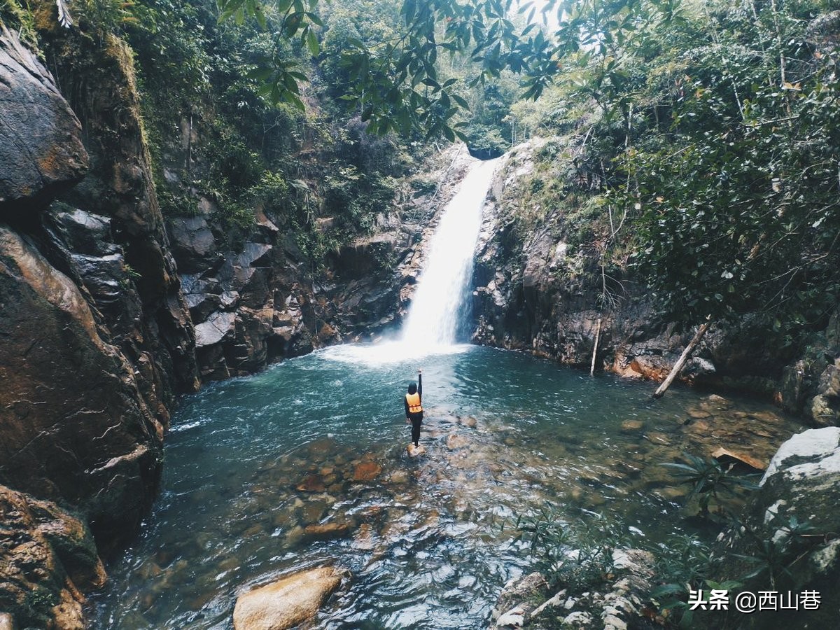 去马来西亚猫山王产地旅游,马来西亚猫山王