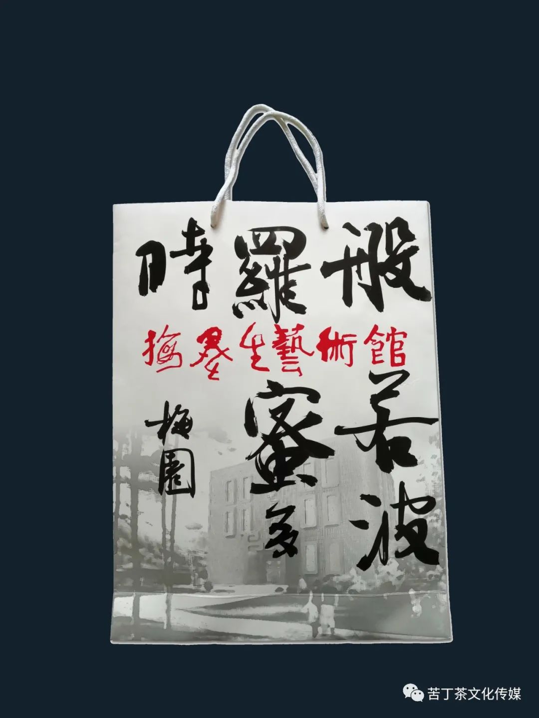 变废为宝---梅园创作的手提袋书画作品