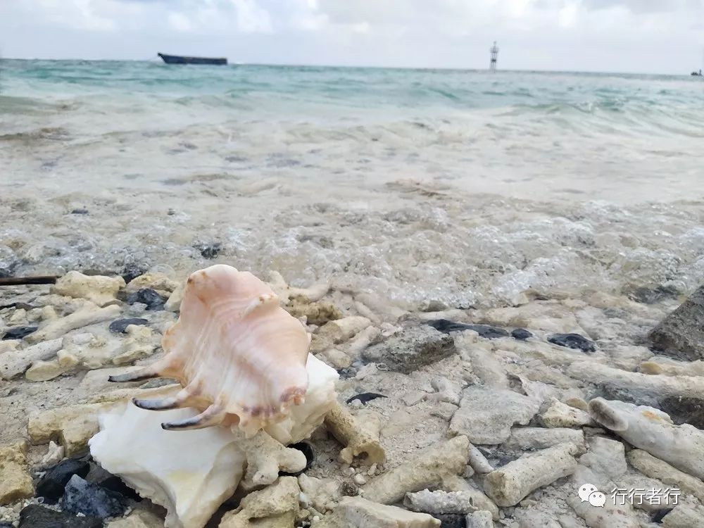 漂洋过海只为遇见你西沙攻略,西沙探秘游记大攻略