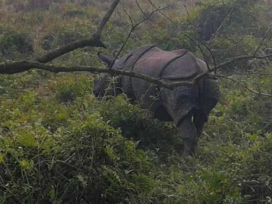 尼泊尔真实的生活现状,尼泊尔背后的真实生活