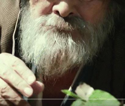 没想到日本国宝级画家，竟过着这样的生活！