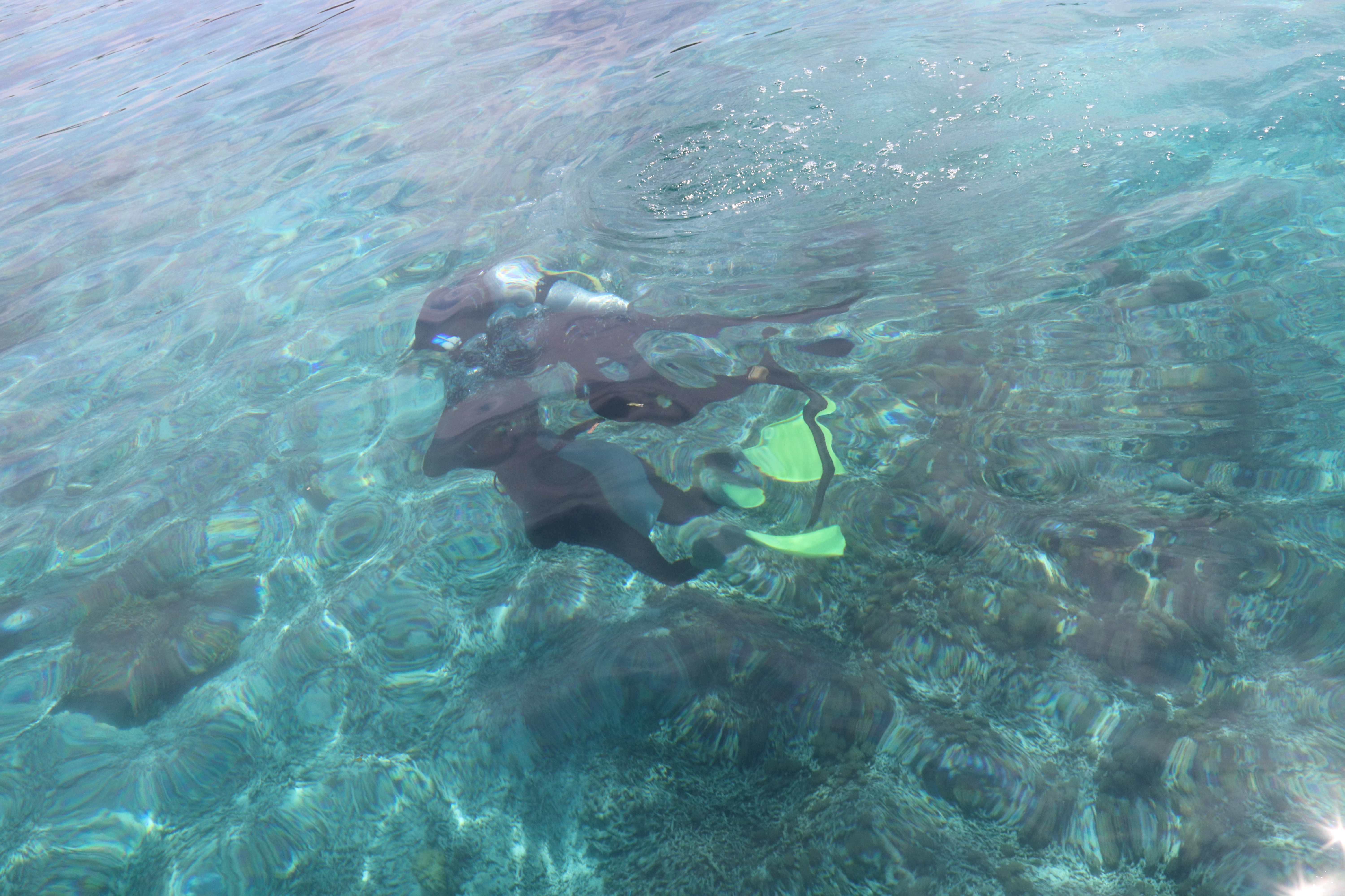 2018马来西亚之旅留影,2019回眸