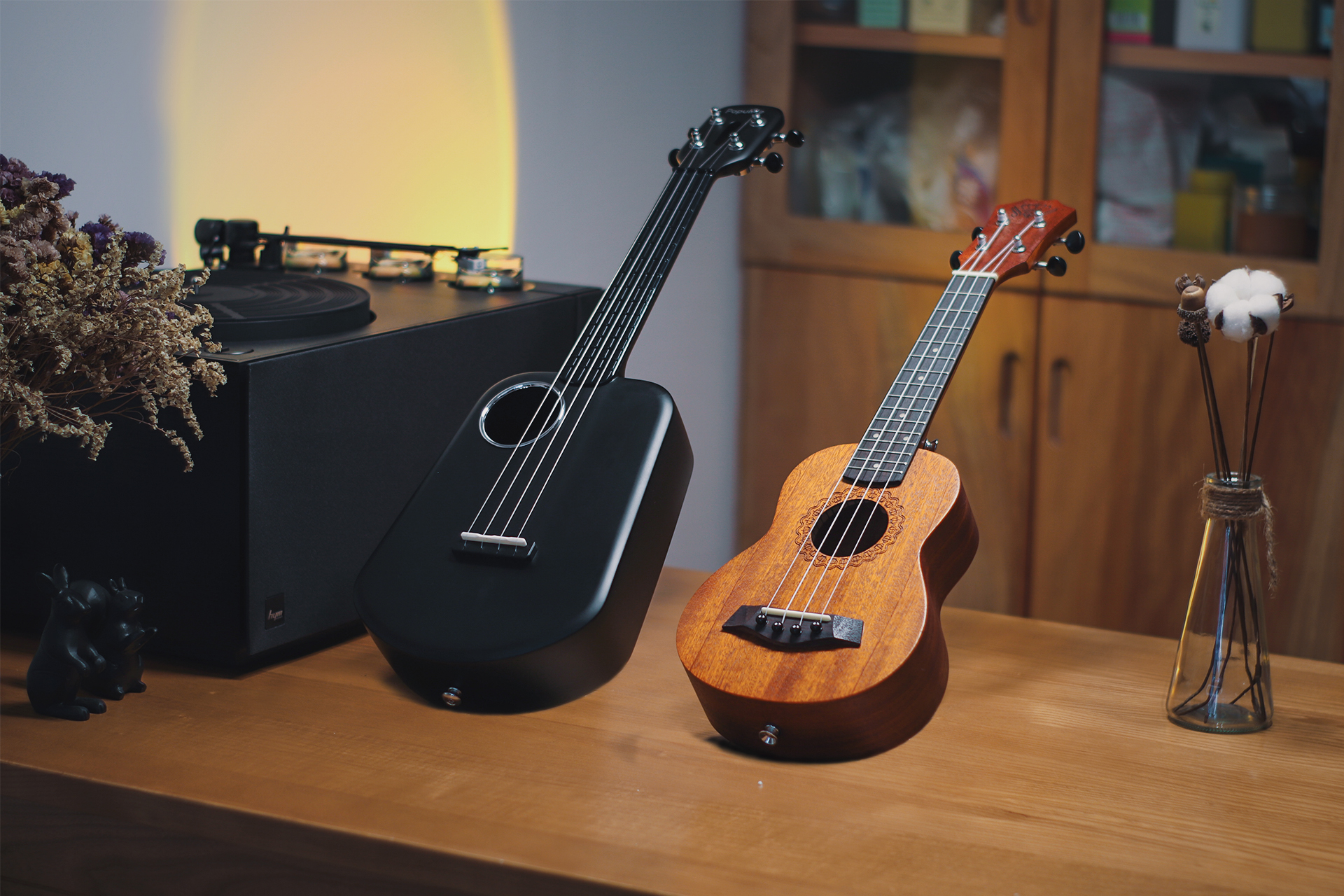 populele尤克里里2代,尤克里里入门零基础2