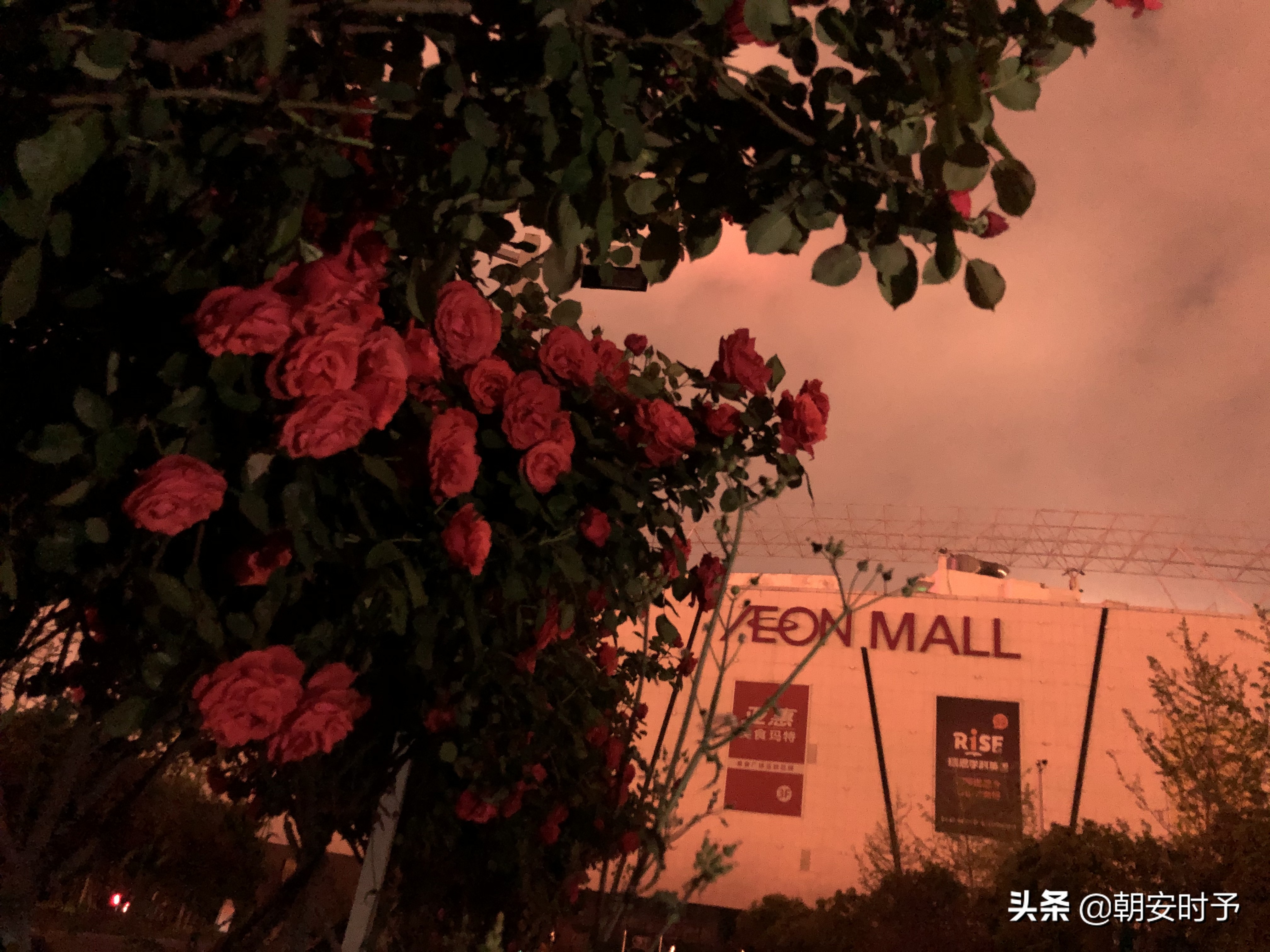 疫情中的武汉美景,大好河山武汉市