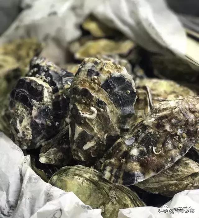 水煮贝壳类海鲜煮多久,海边海鲜用什么水煮好吃