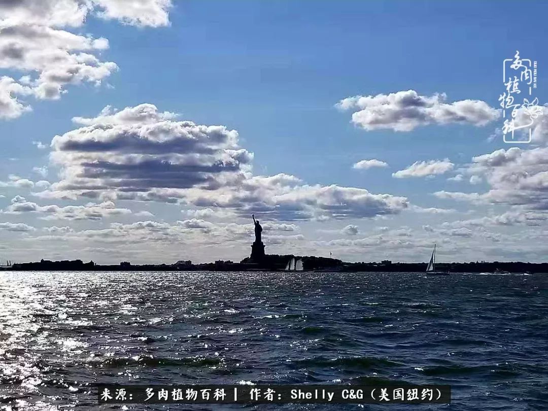 美国纽约有多少华裔人,美国纽约有多少个华人