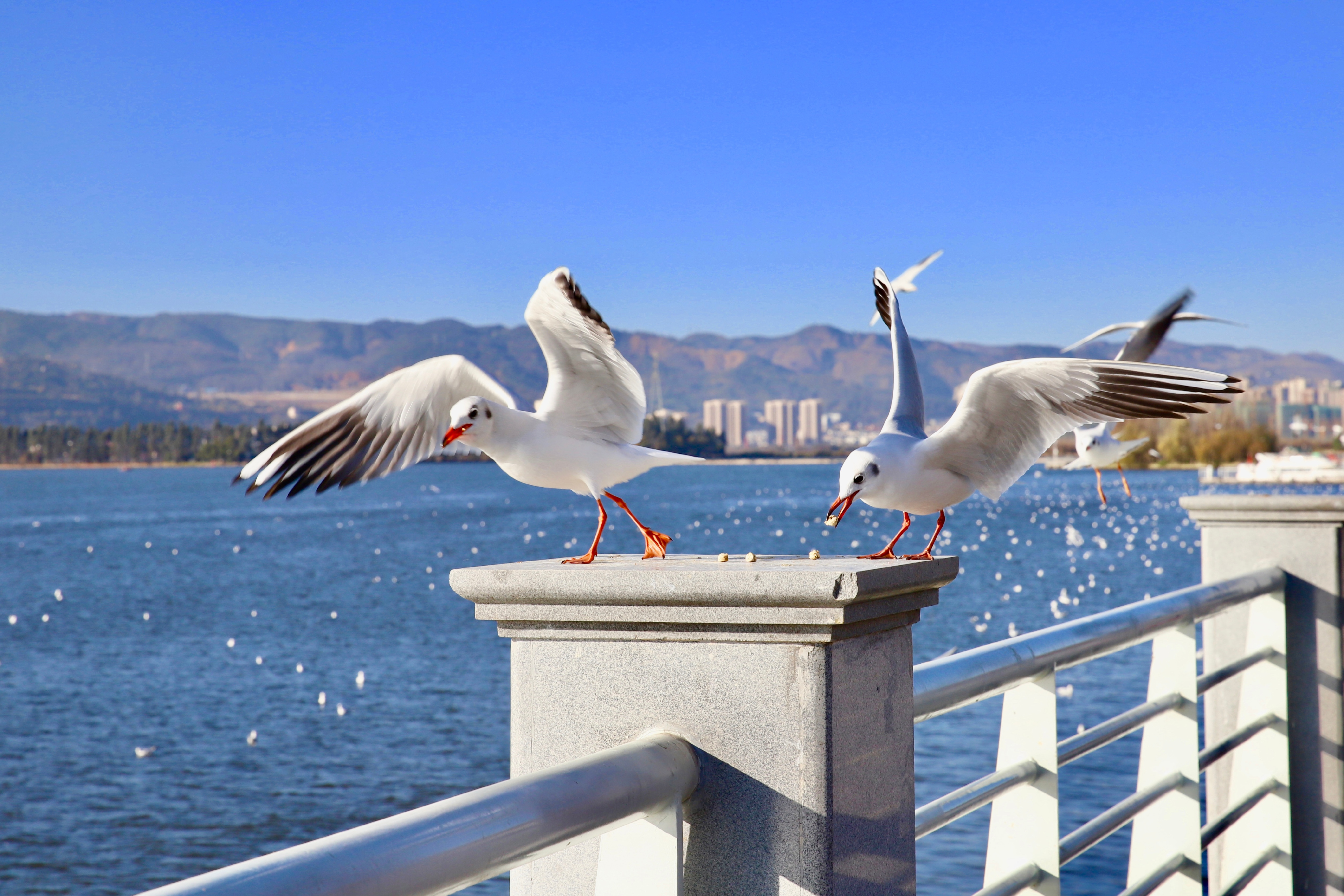 昆明最火网红打卡景点免费的,昆明最近的值得打卡的景点