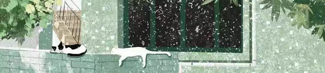 一位女大学生的家教心得:《我的家教之路与一些小建议》