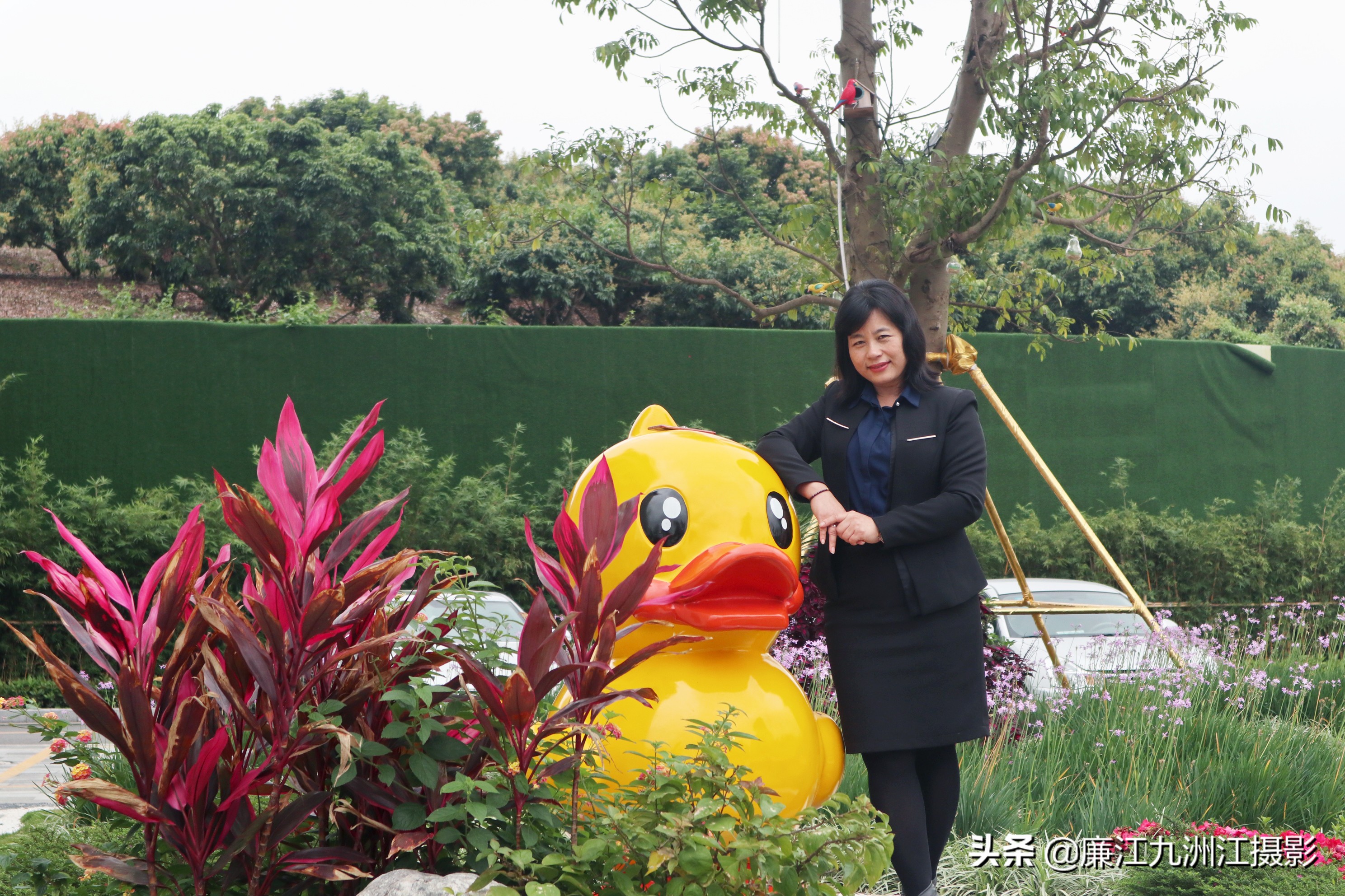 种下希望让梦想发芽舞蹈,种下希望让梦想发芽