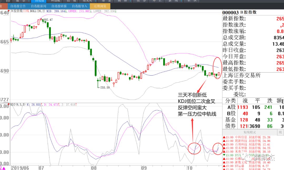 晚评:涨停狂潮,错过了就哭吧