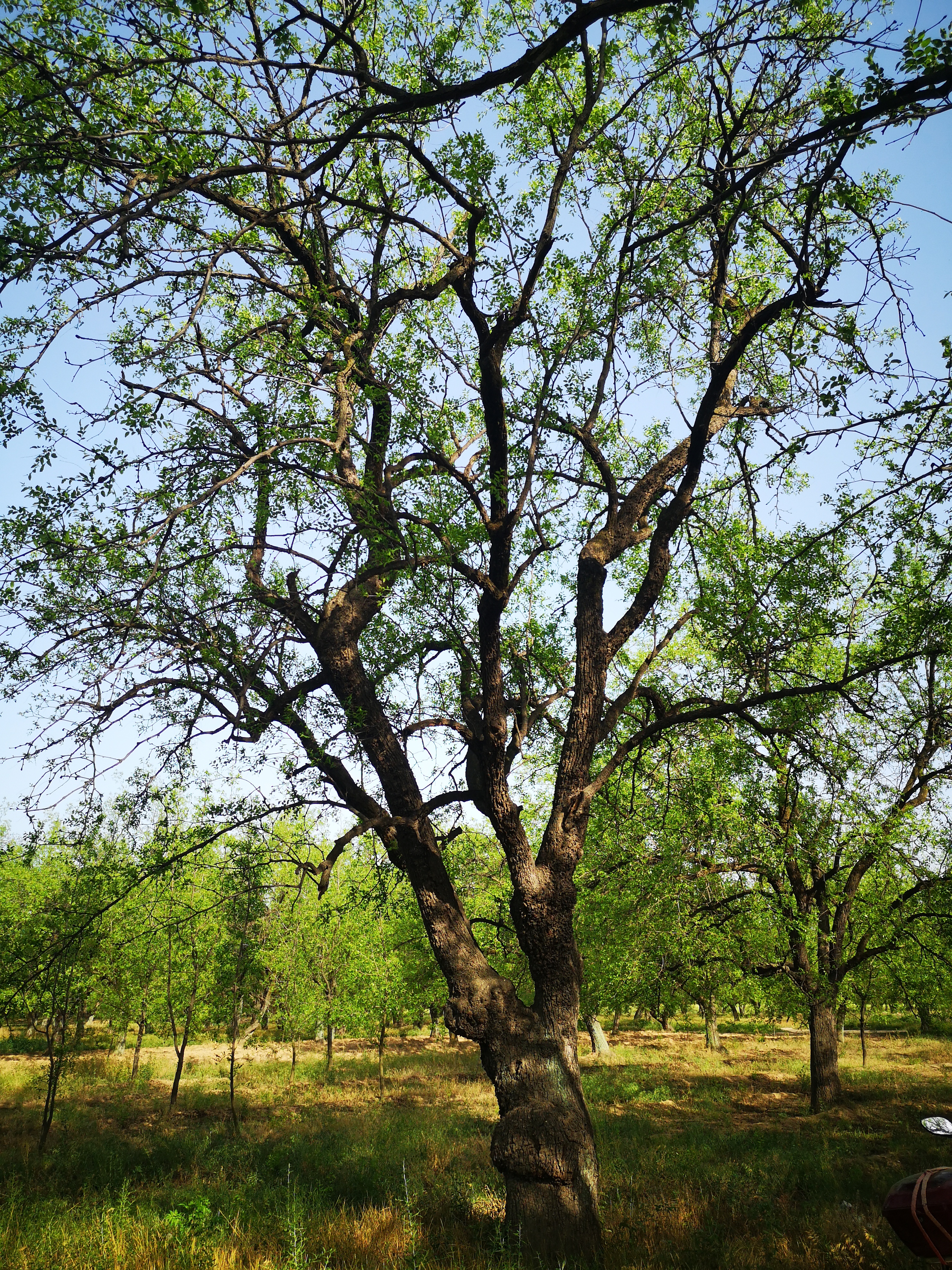 璐℃灒楠忔灒鐏版灒,璐℃灒鍥藉