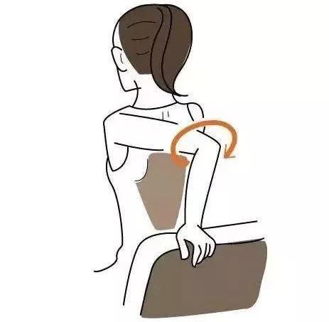 肩胛一颗结，乳腺一条梗