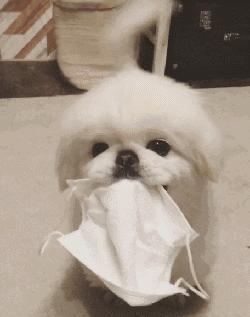 因果关系和相关关系的界定,区分相关关系和因果关系的依据