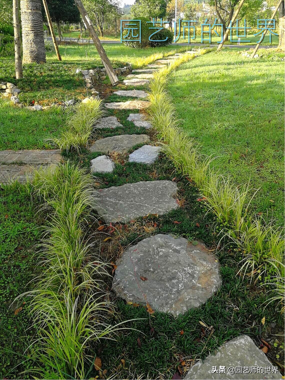 花园科学实验,花园案例及解析