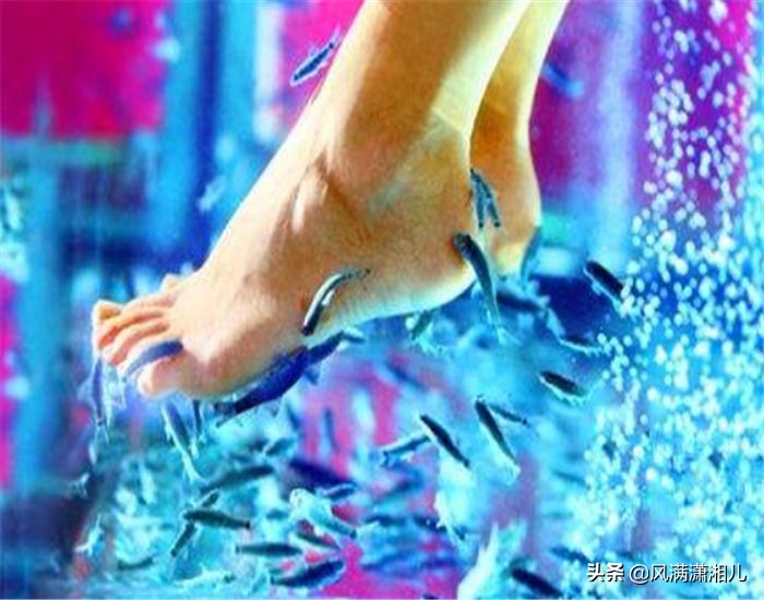 做鱼疗导致鱼儿全死原因,做鱼疗导致鱼儿全死搞笑视频